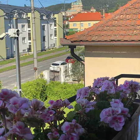 Гостевой дом Penzion Bojnice Бойнице